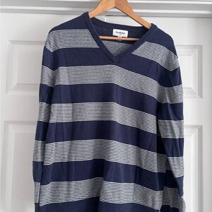 Goodfellow Navy and White Striped V-Neck Sweater